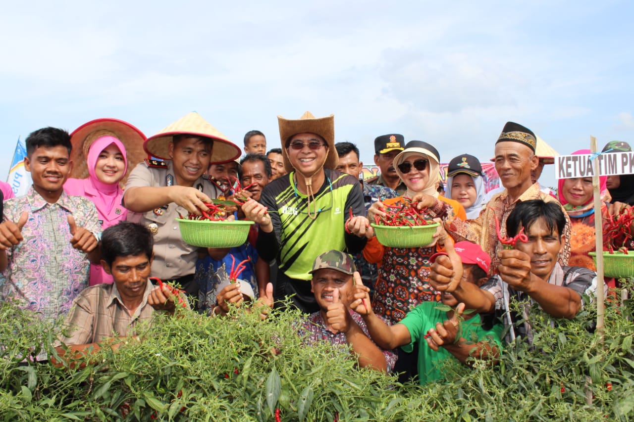 Hadiri Panen Raya Cabai, Bupati H2G Kagumi Potensi Desa Sukamerindu
